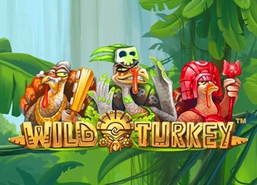 Wild Turkey Video Slot