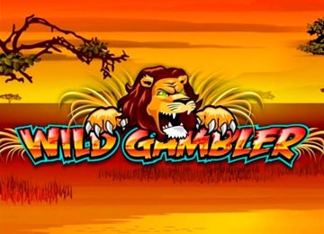 Wild Gambler Video Slot