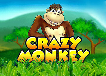 Crazy Monkey Video Slot